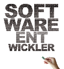 Software-Entwickler